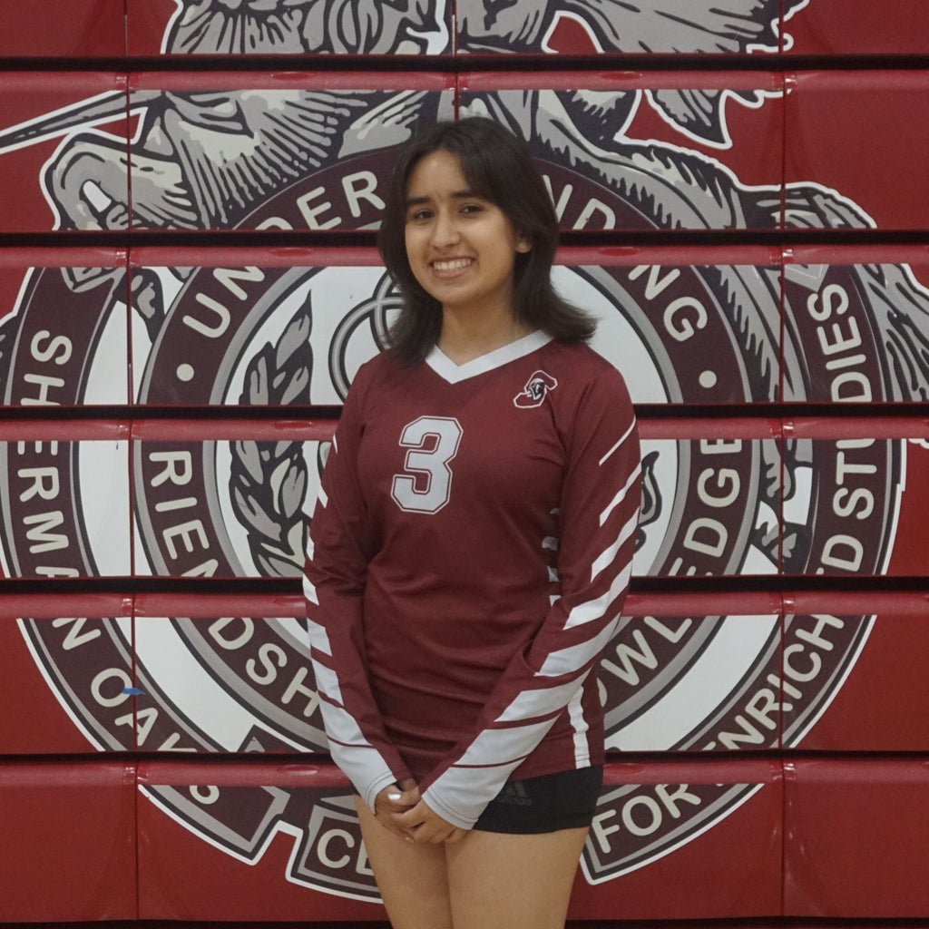 Rebecca Arancibia mugshot