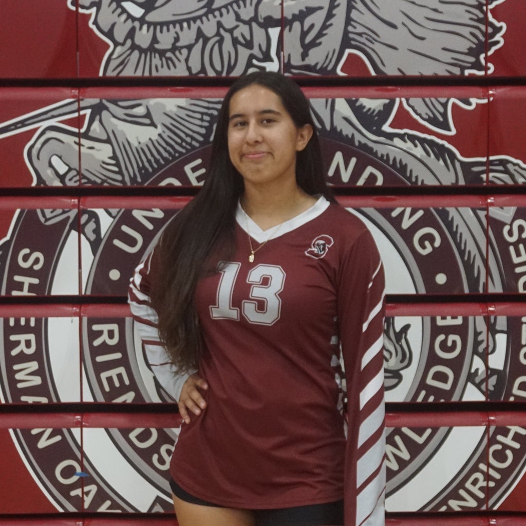 Addison Perez mugshot