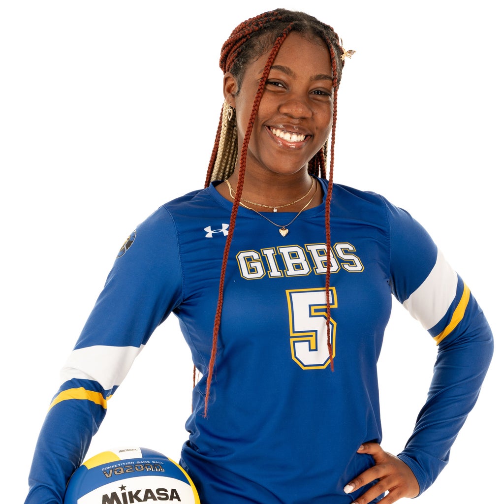 Kamili Brown mugshot