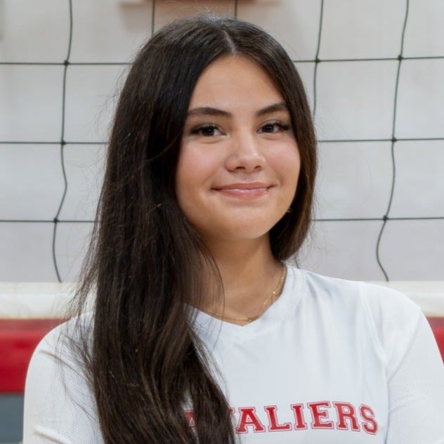 Chelsea Arroliga mugshot