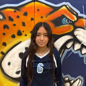 Linda Perez mugshot