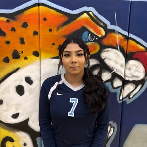 Shaila Mendez mugshot