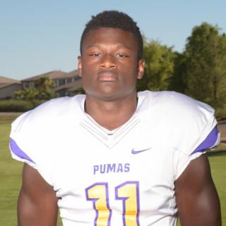 Ajani Elliott