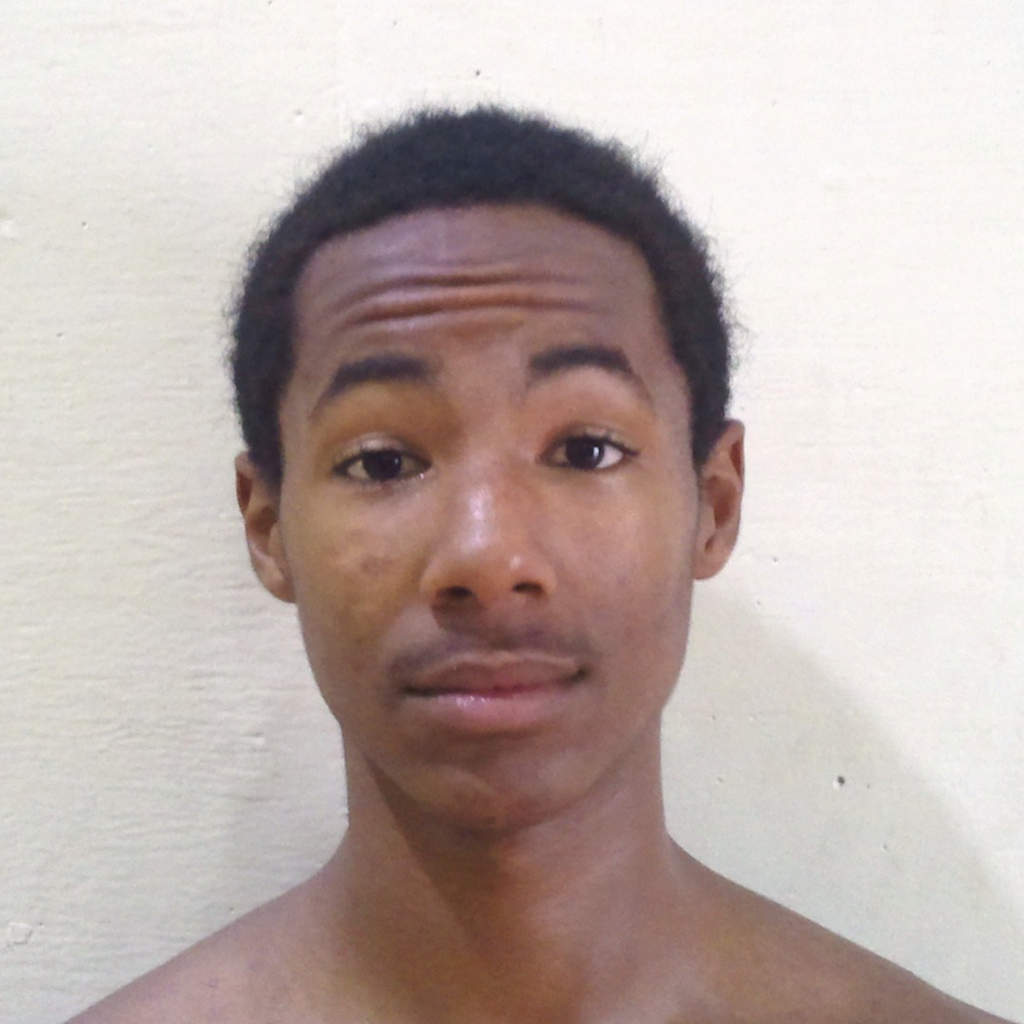 Delaneo Gipson mugshot