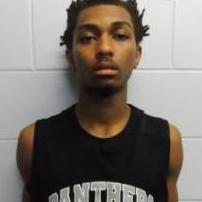 Kurstin Hinson mugshot