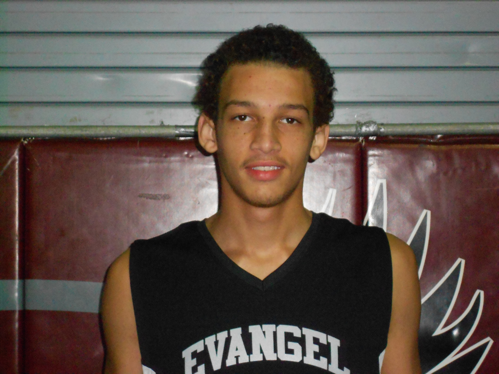 Dominic Hollins