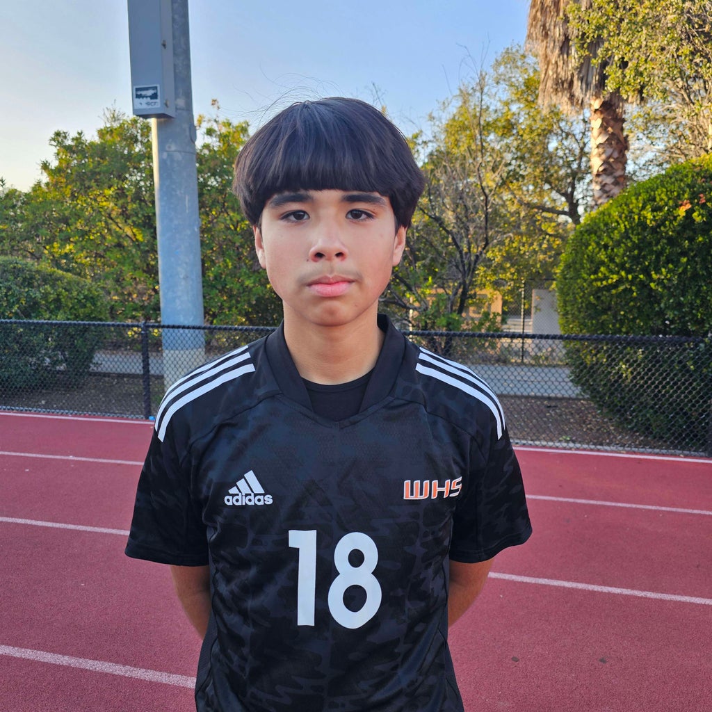 Froilan Alvarez Jr. mugshot