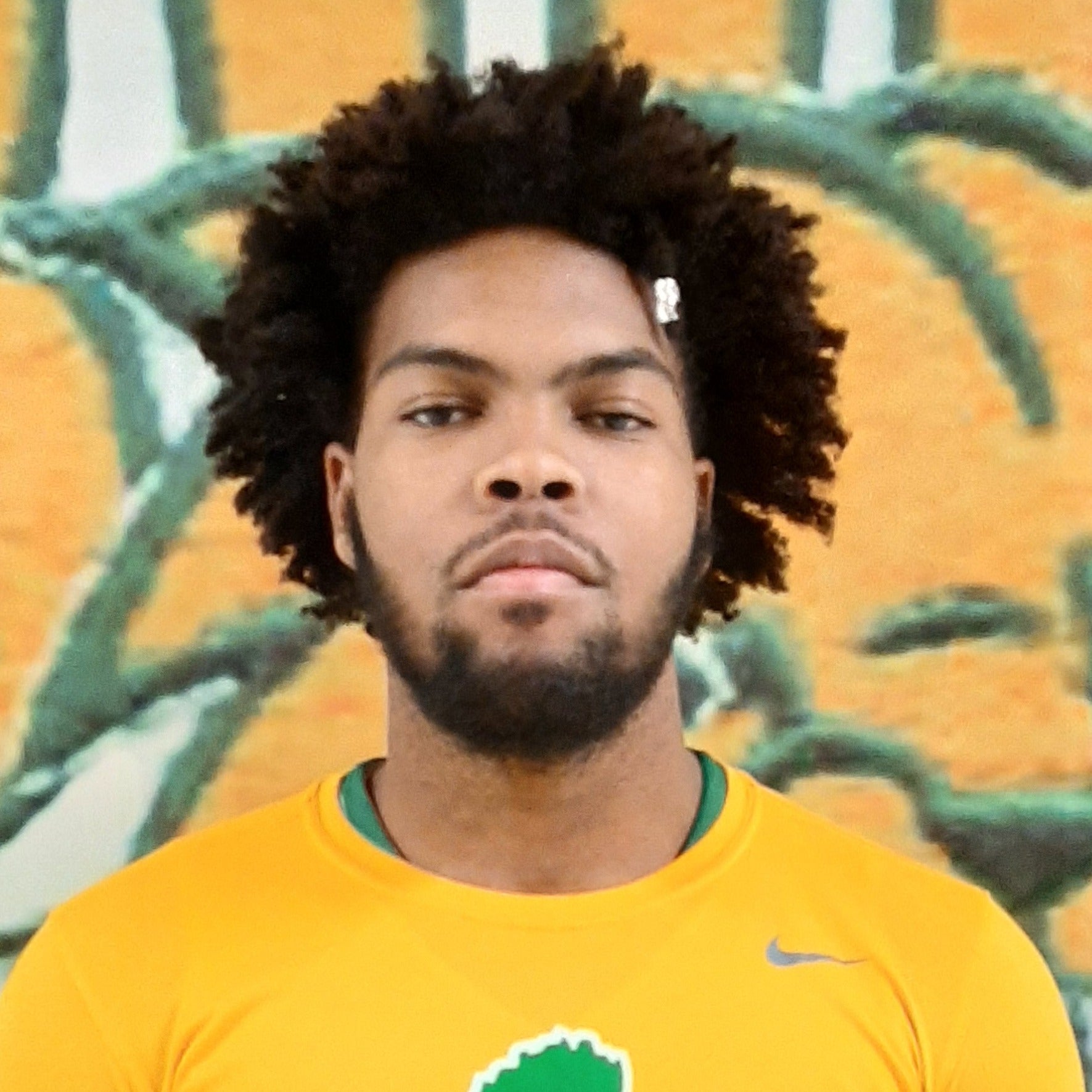 Trevian Artis