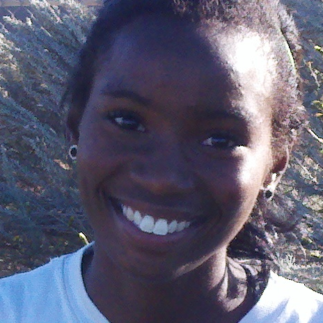 Renee Brinson mugshot