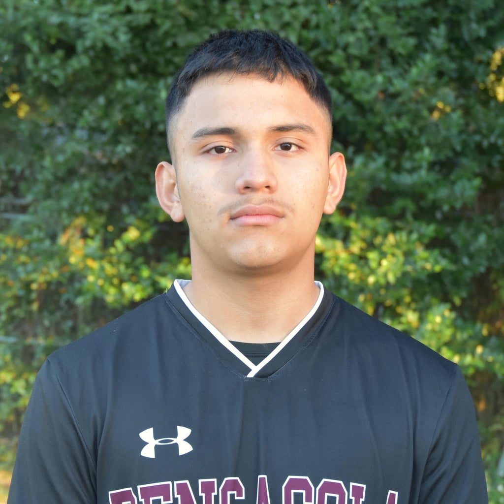 Darwing Soza mugshot