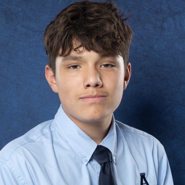 Elvis Landin mugshot