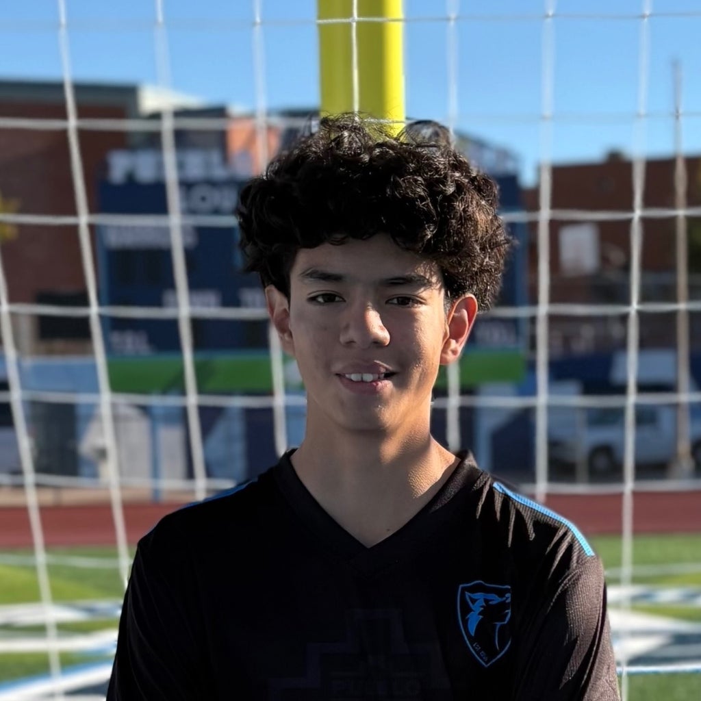 Alexis Villegas mugshot