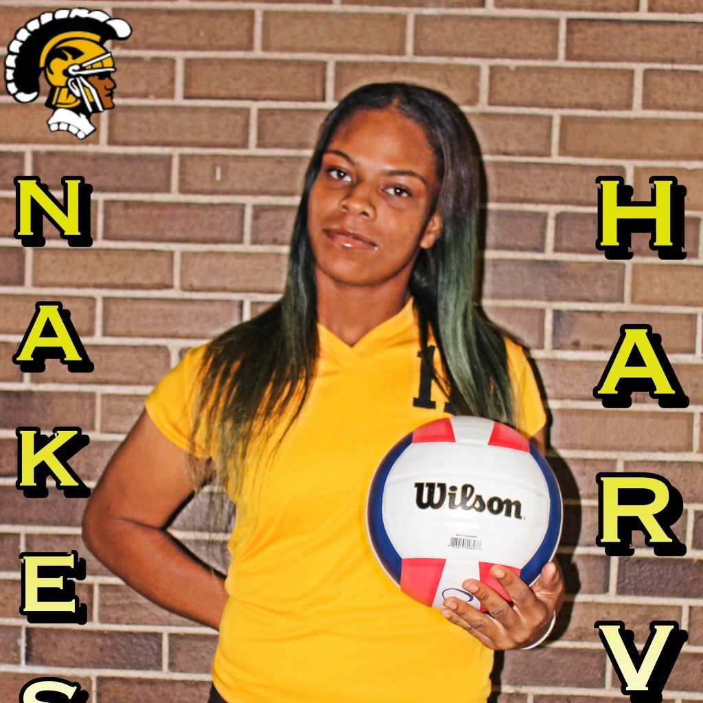 Nakesha Harvey mugshot