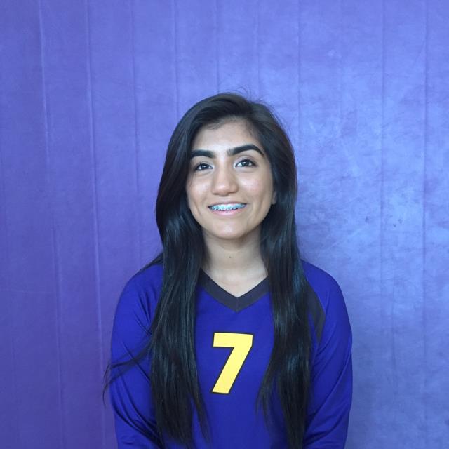 Milagros Gish mugshot