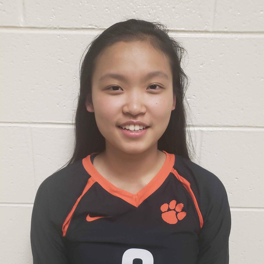 Jane Sun mugshot