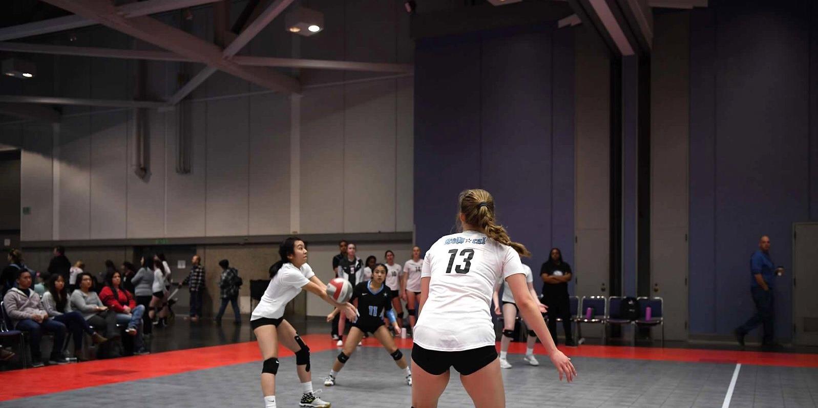 Sakuraku Yamamoto mugshot