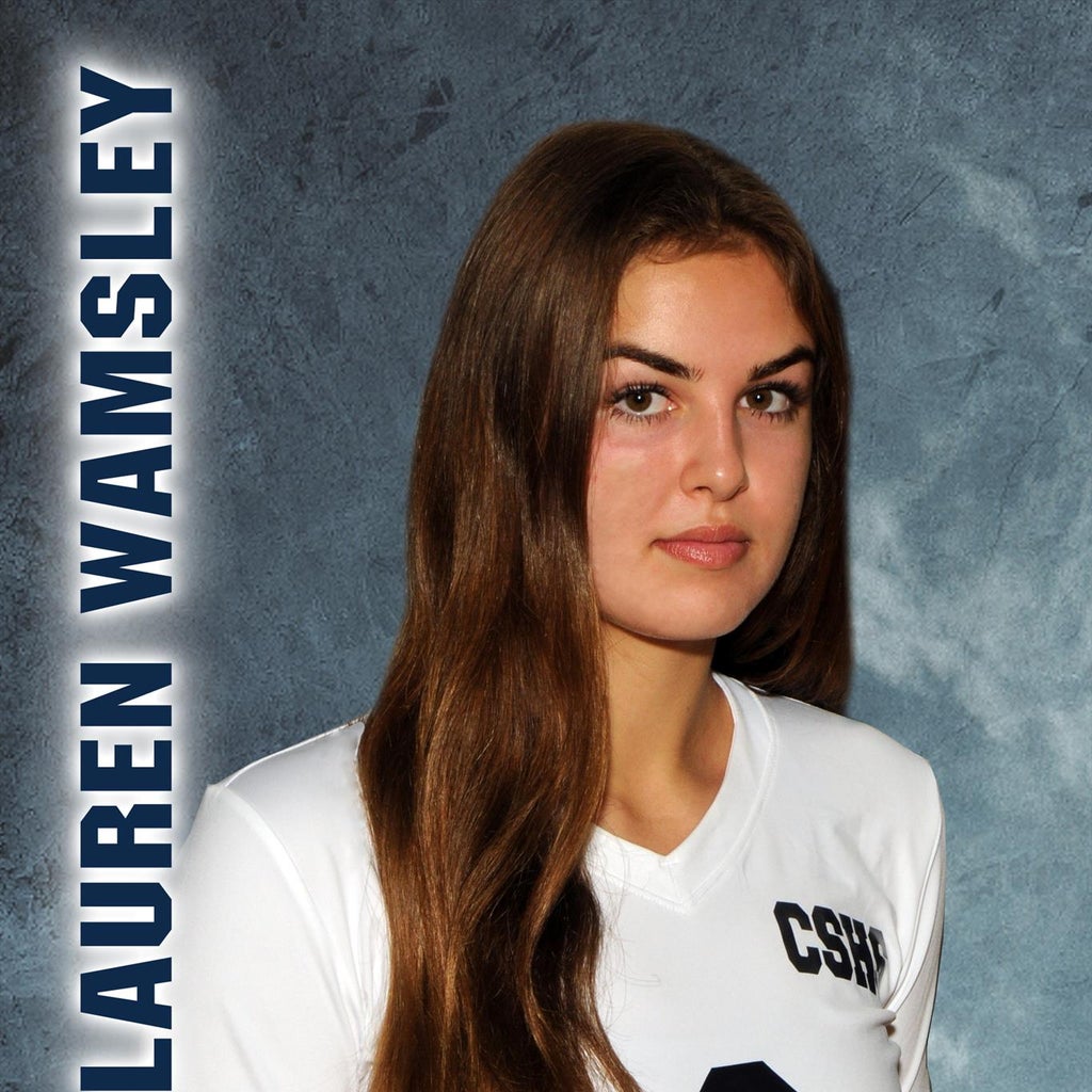 Lauren Wamsley mugshot