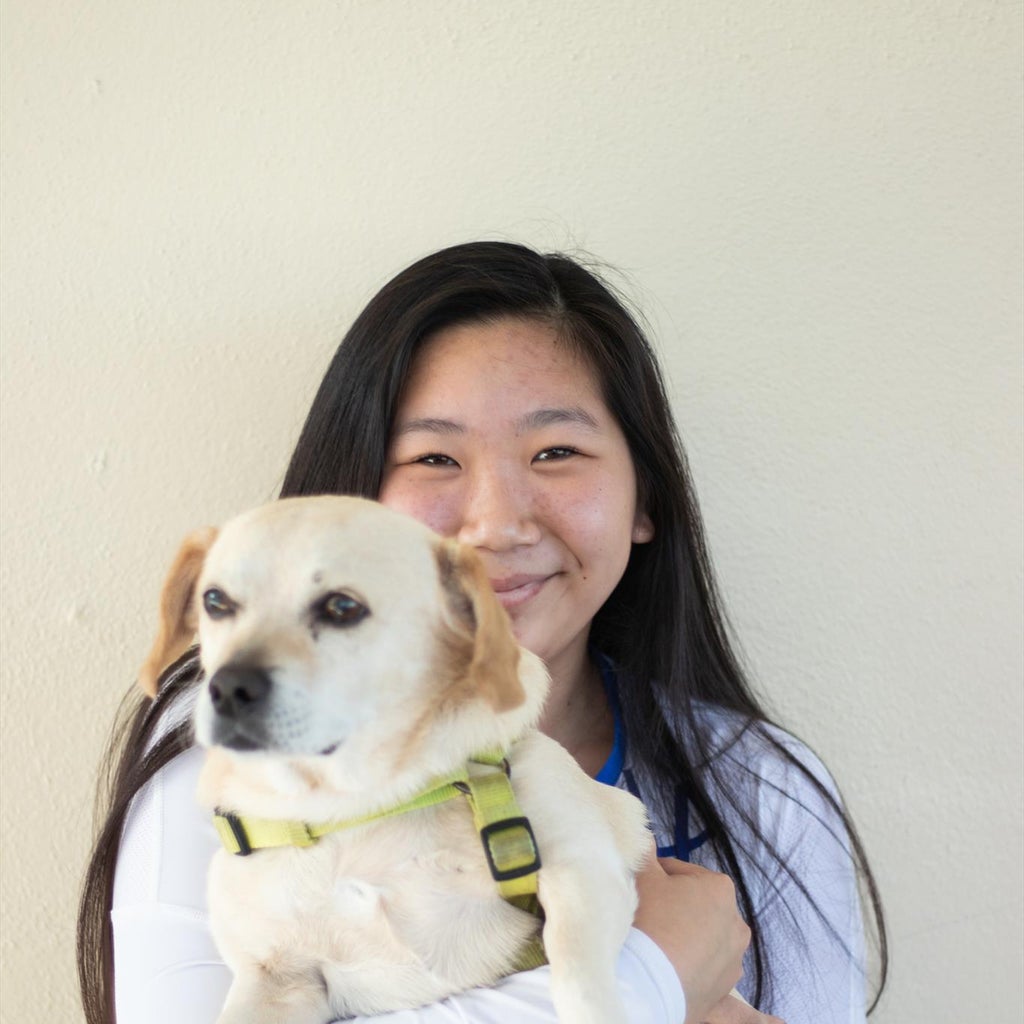 Lauren Wang mugshot