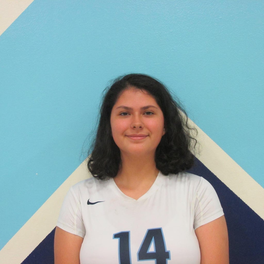 Renee Reyes mugshot