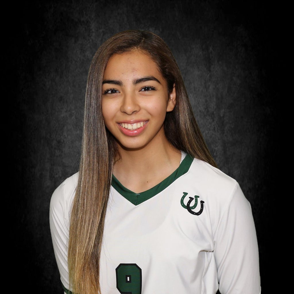Sara Carrizales mugshot