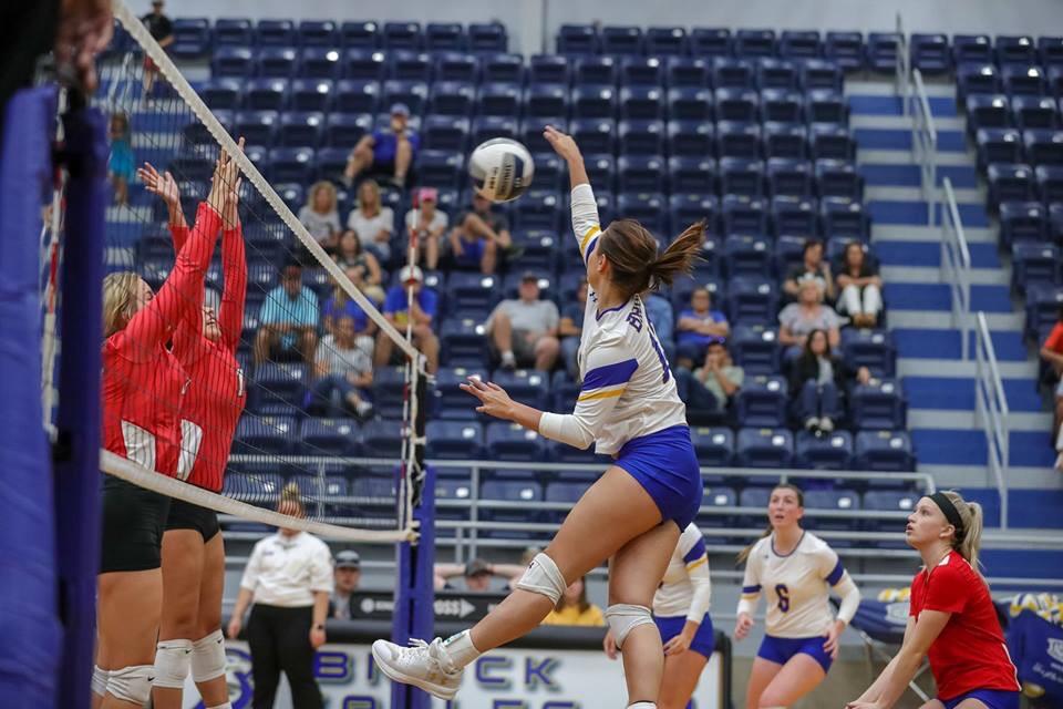 Samantha Ashley mugshot