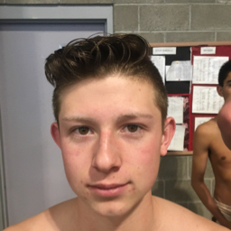 Joshua Harlan mugshot