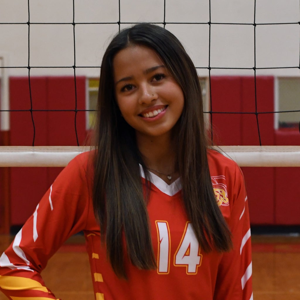 Addi Fernandez mugshot