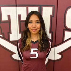 Savana Johnson mugshot