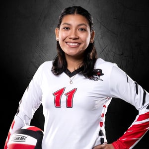 Iysis  Arriaga mugshot