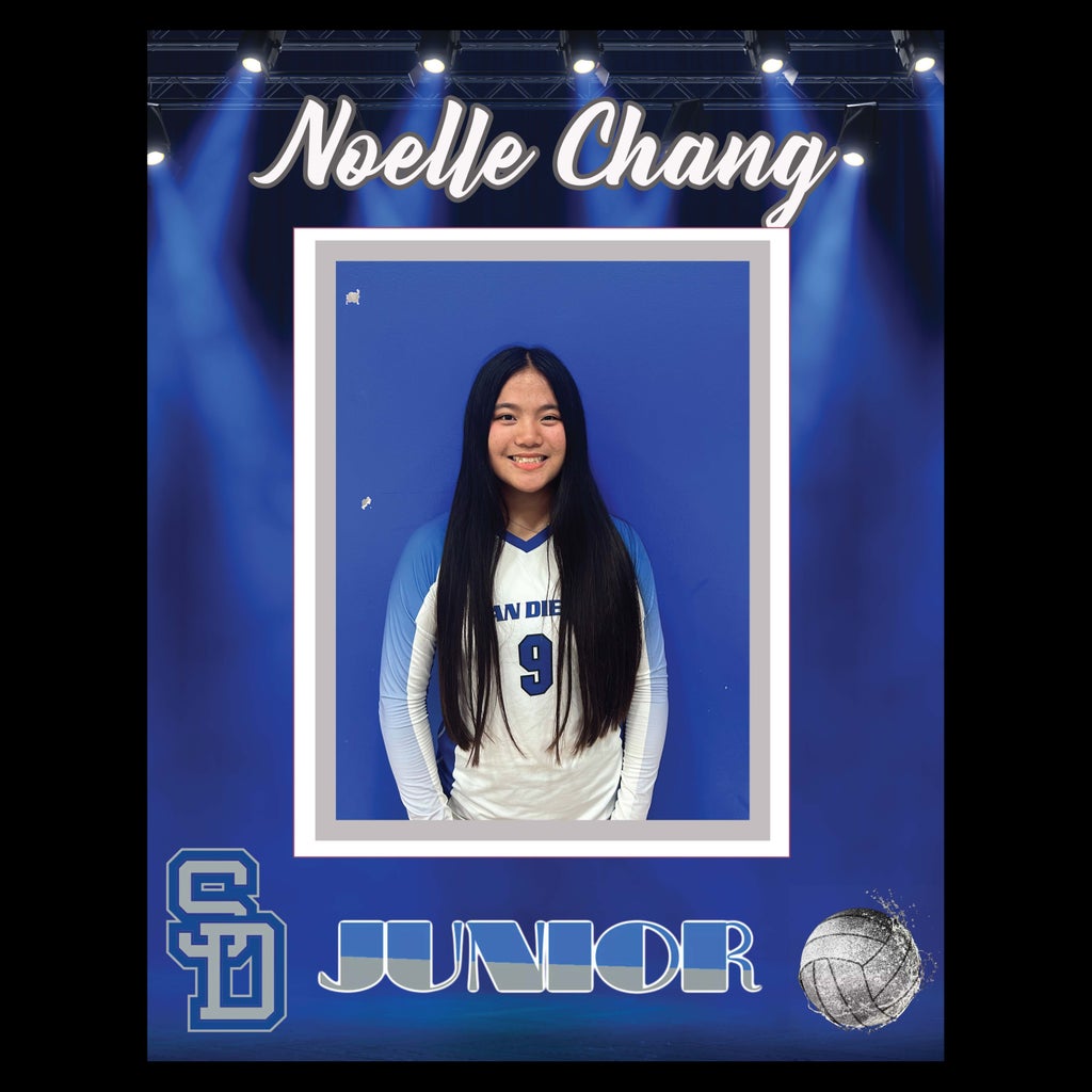 Noelle Chang mugshot