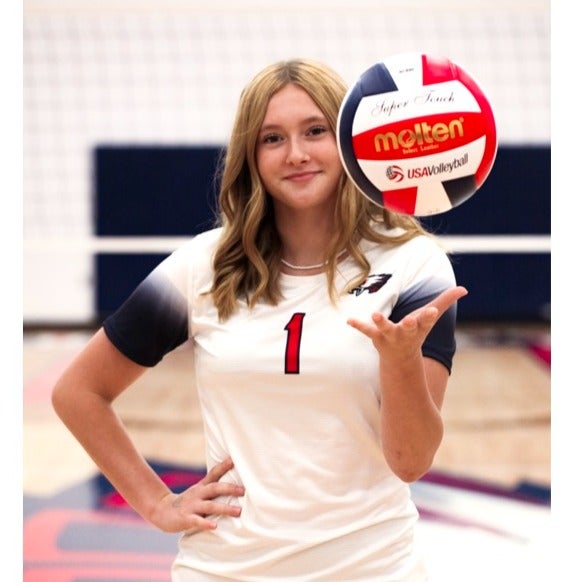 Andrea Erickson mugshot