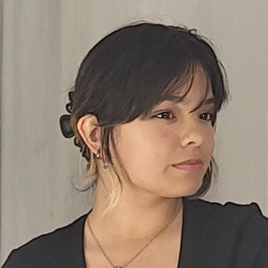 Trinity  Guzman mugshot