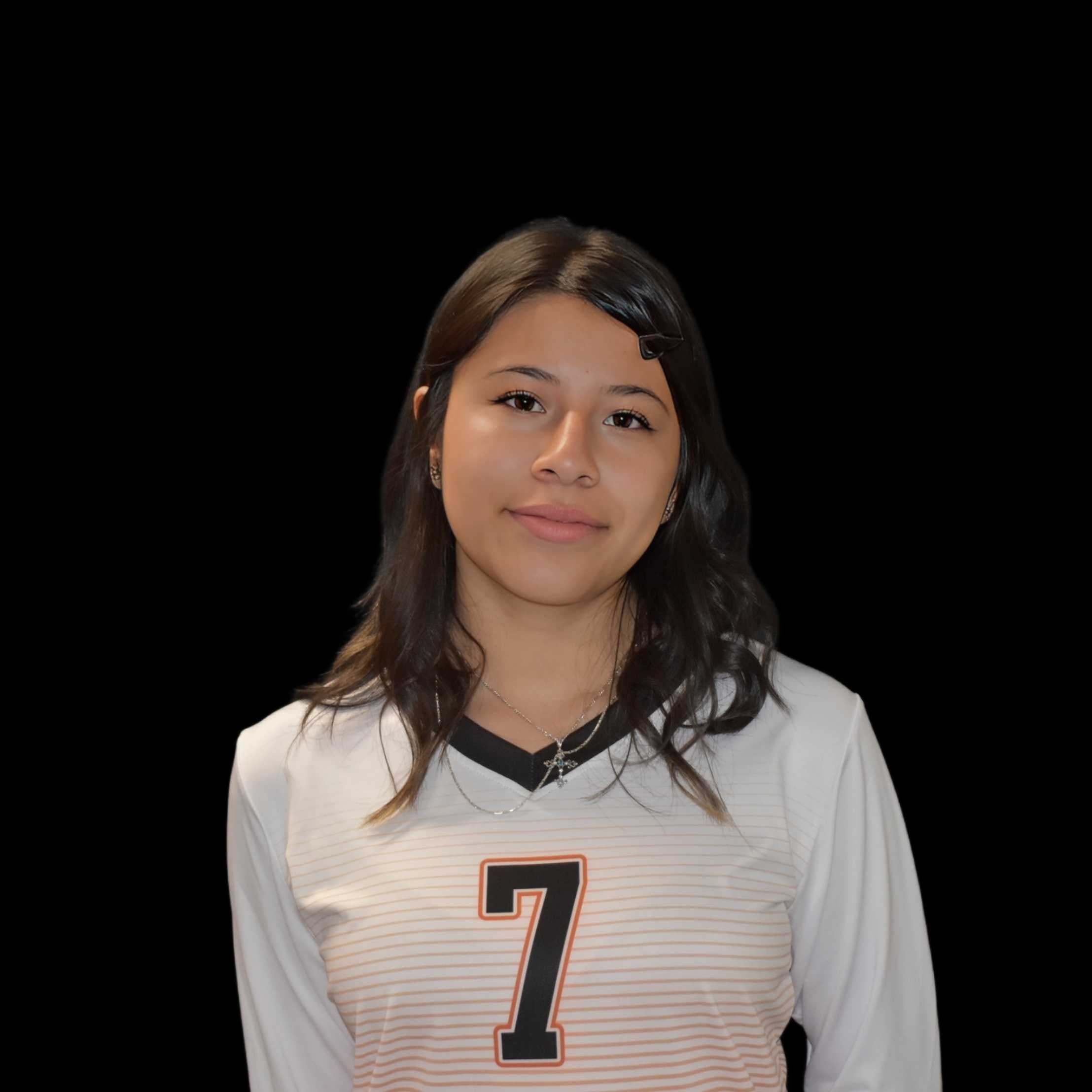 Michelle Santos mugshot