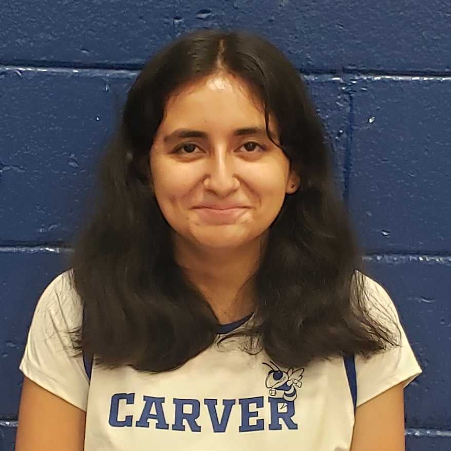 Kathleen Estrada mugshot