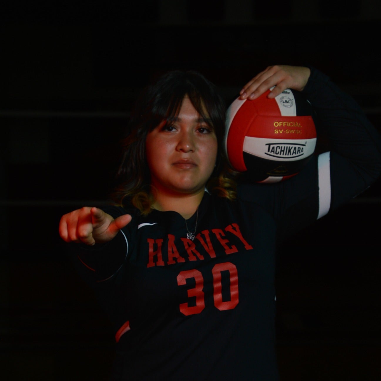 Dana Ramirez mugshot