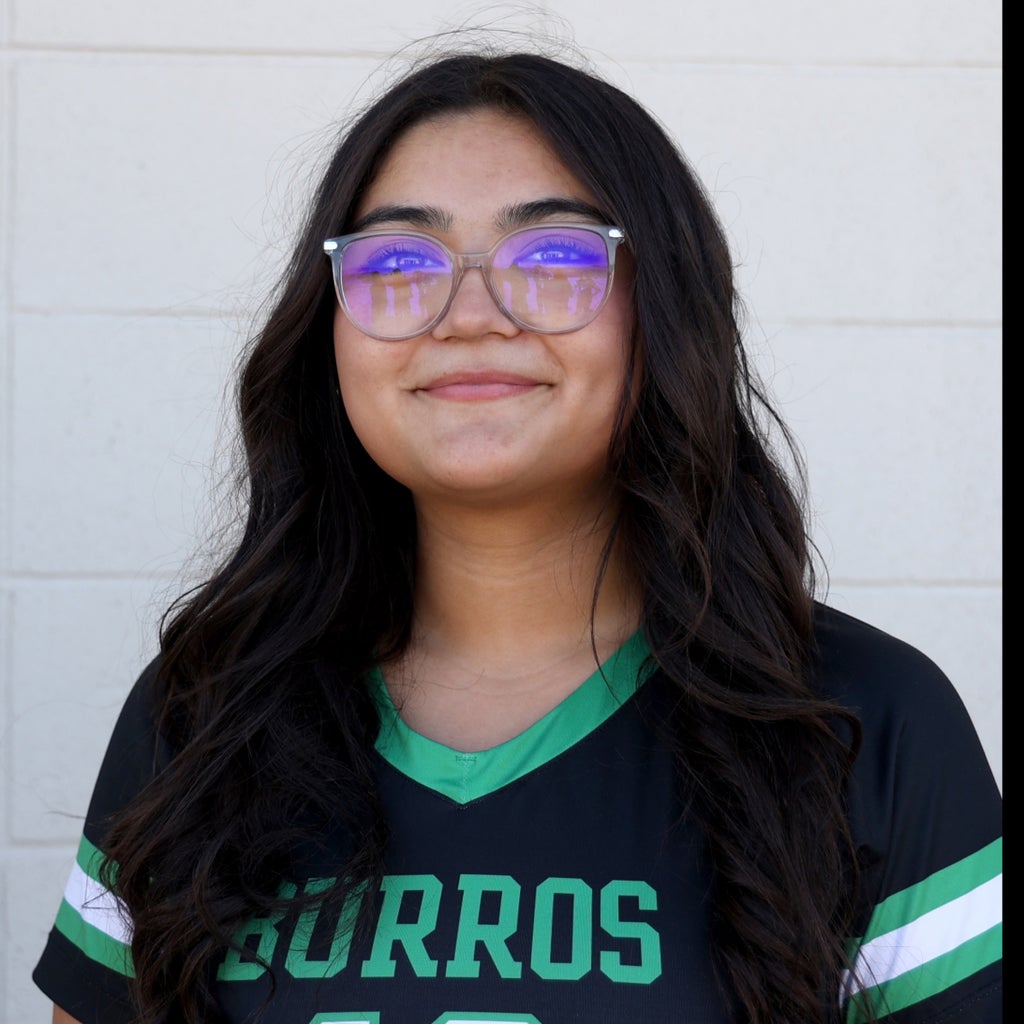 Karla Ortiz mugshot