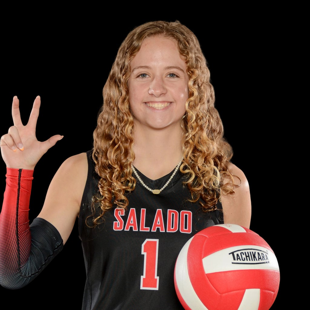 Shelby Hollywood mugshot