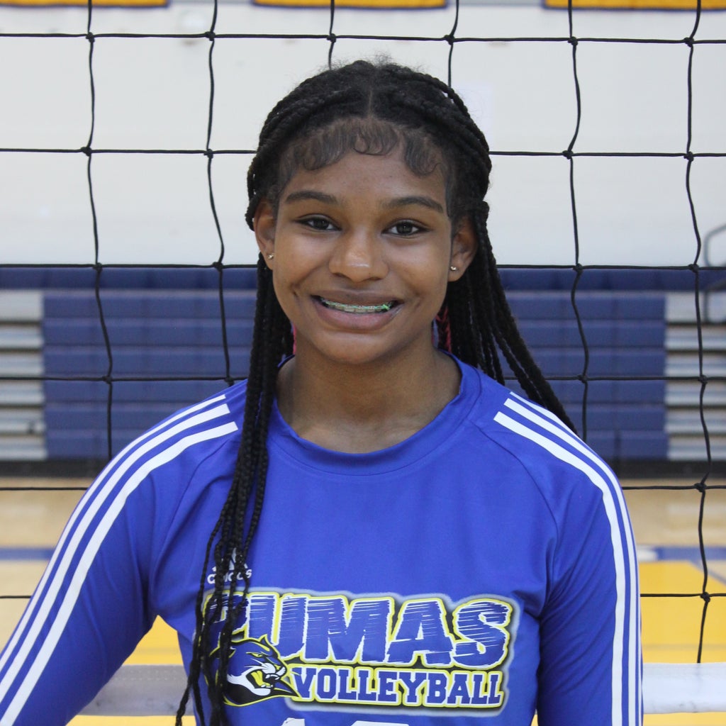 Meisha Sykes mugshot
