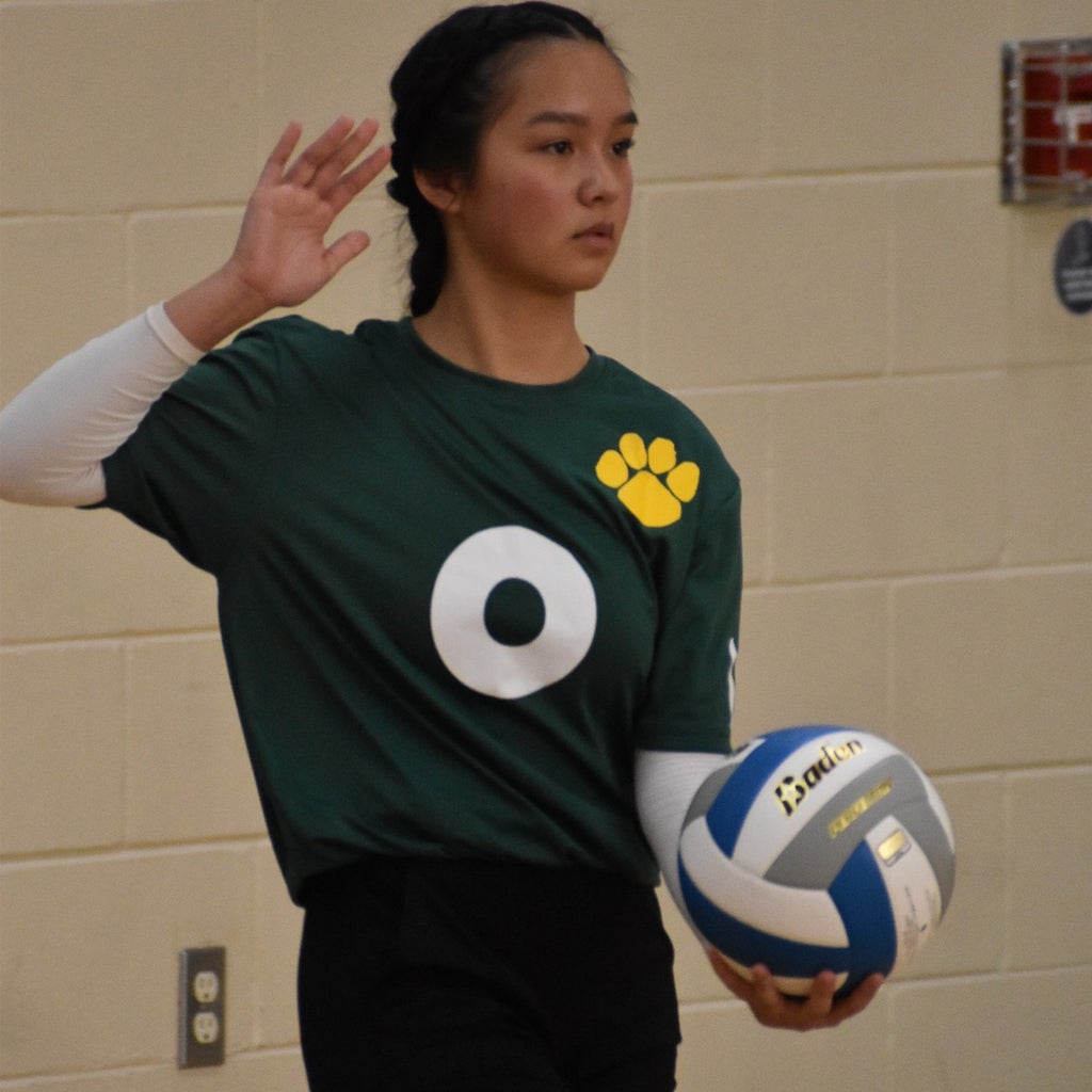 Vivian Tran mugshot