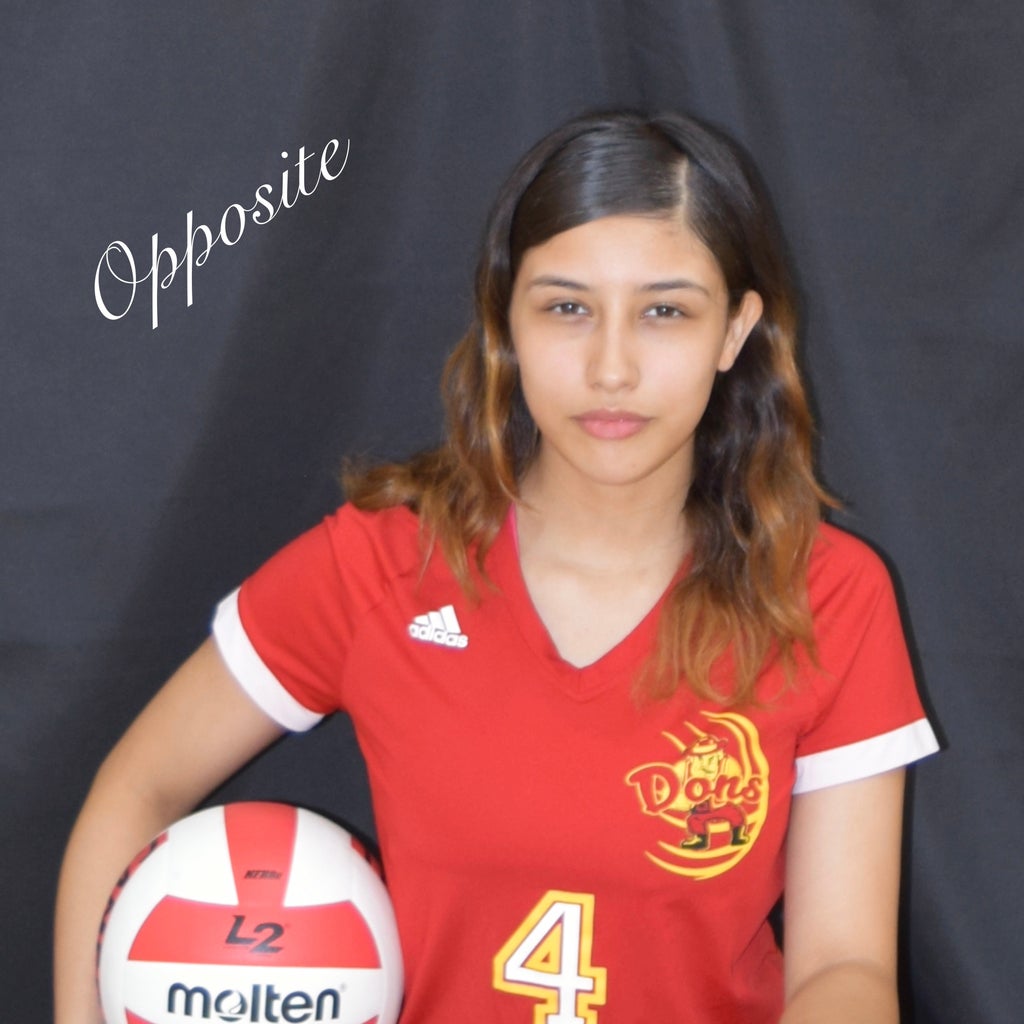 Alejandra Mendez mugshot
