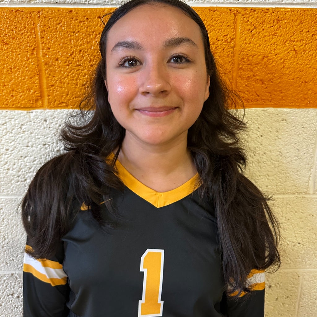 Ashley Puentes mugshot