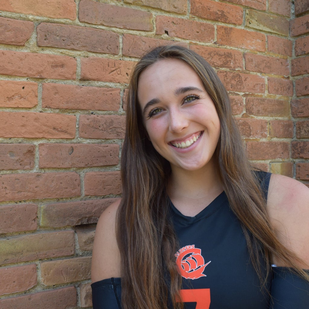 Larissa Hollerich mugshot