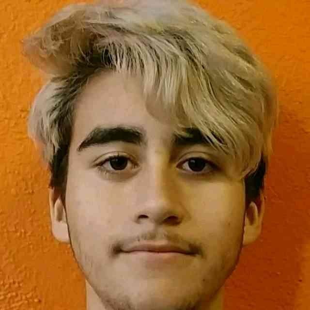 Nicolas Fernandez mugshot
