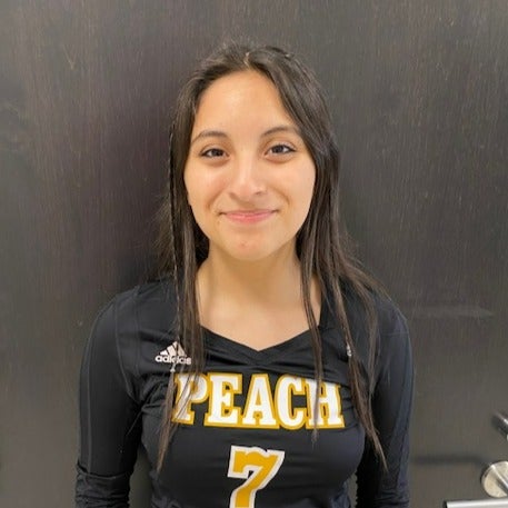 DIANA CERVANTES mugshot