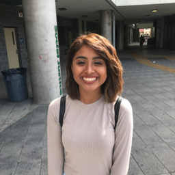 Evelyn Rios mugshot