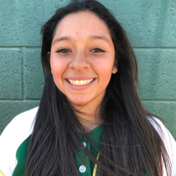 Raelene Reyes mugshot