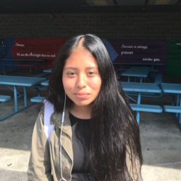 Vaneza Vasquez mugshot