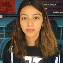 Chelsy Moreno mugshot