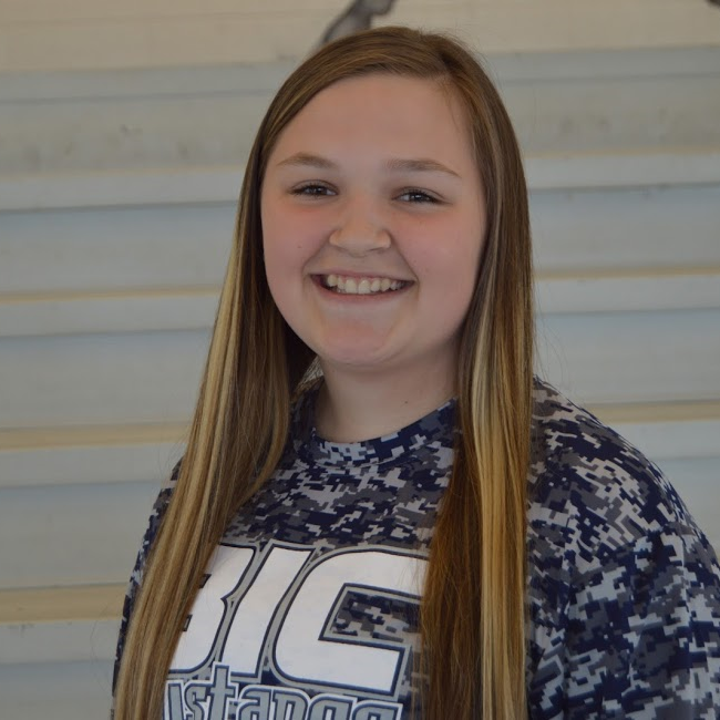 Megan Hemminger mugshot