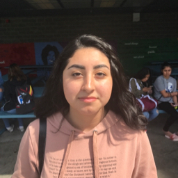 Tatiana Galdamez mugshot